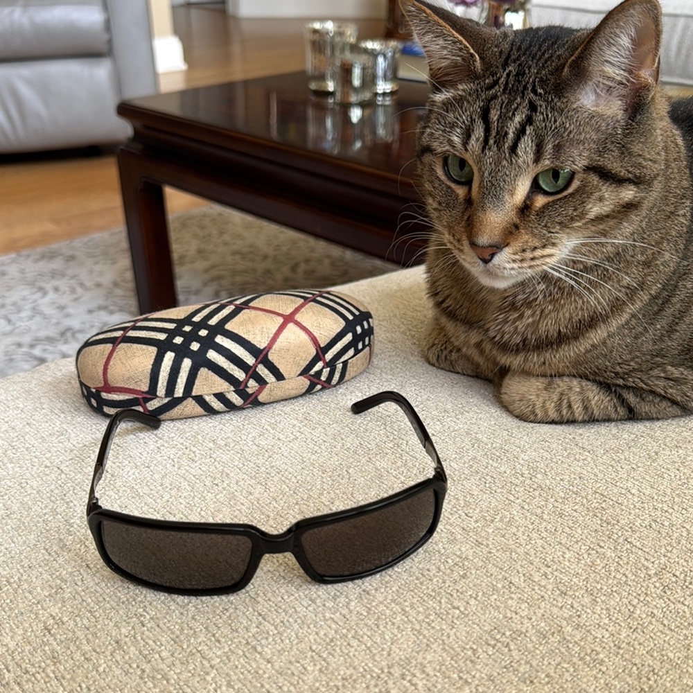Burberry Black Sunglasses with Classic Check Case - Picture 9 of 9